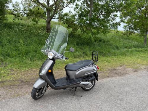 SYM Fiddle II snorscooter 2018 — lage km-stand — nette staat