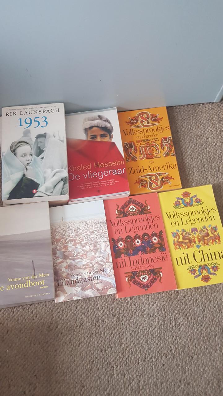 Partij Nederlandse romans