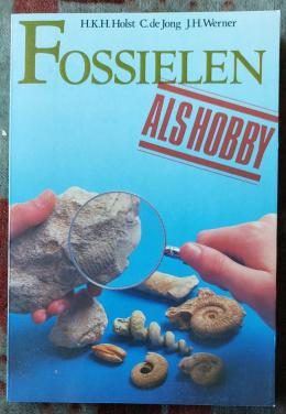 Stenen boek