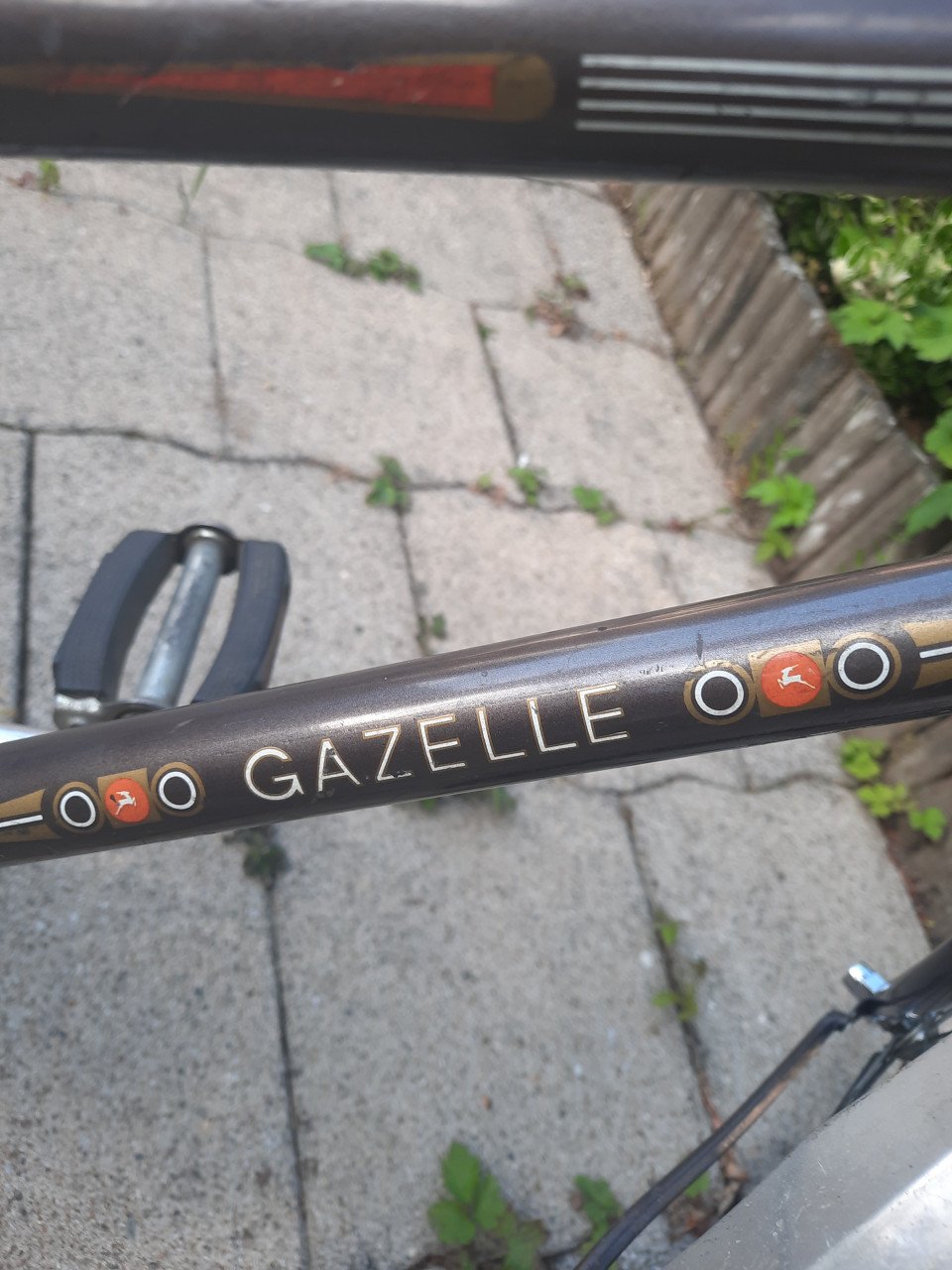 Gazelle Kwikstep