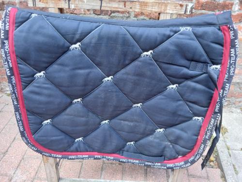 Te koop dressuur dekjes pony