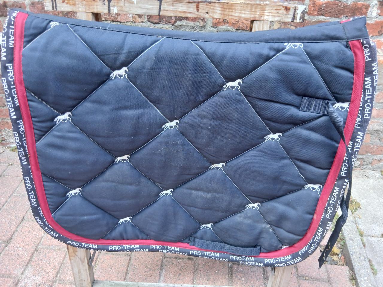 Te koop dressuur dekjes pony