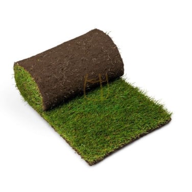 65m2 grasmat
