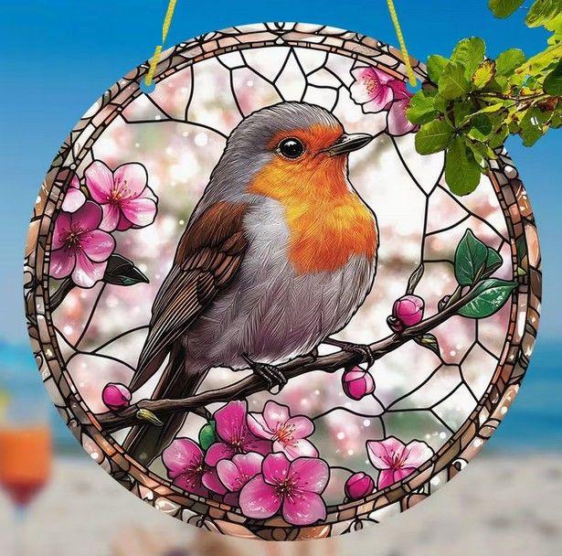 Raamhanger roodborst ( extra kleurrijk )