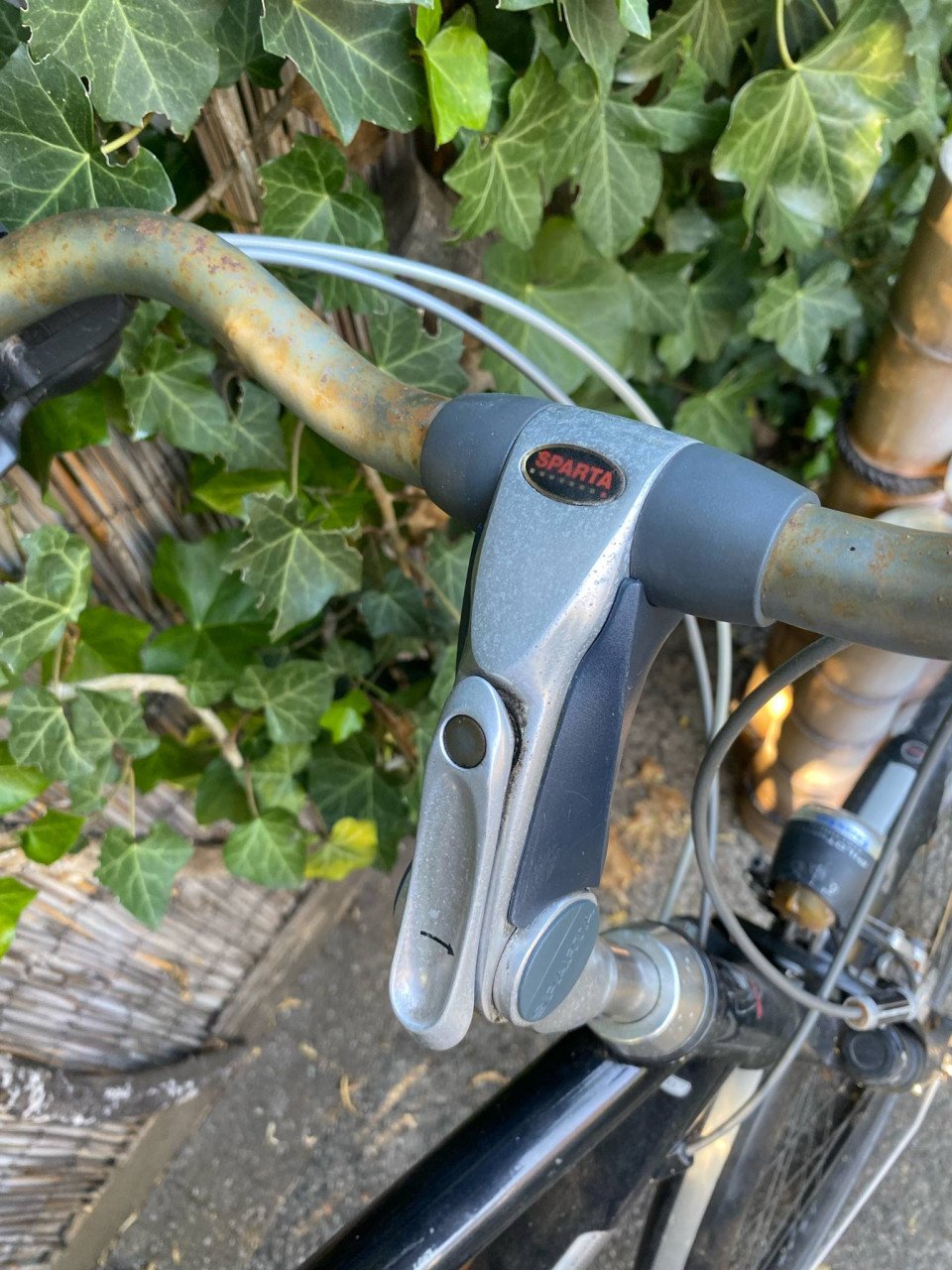 Herenfiets groot