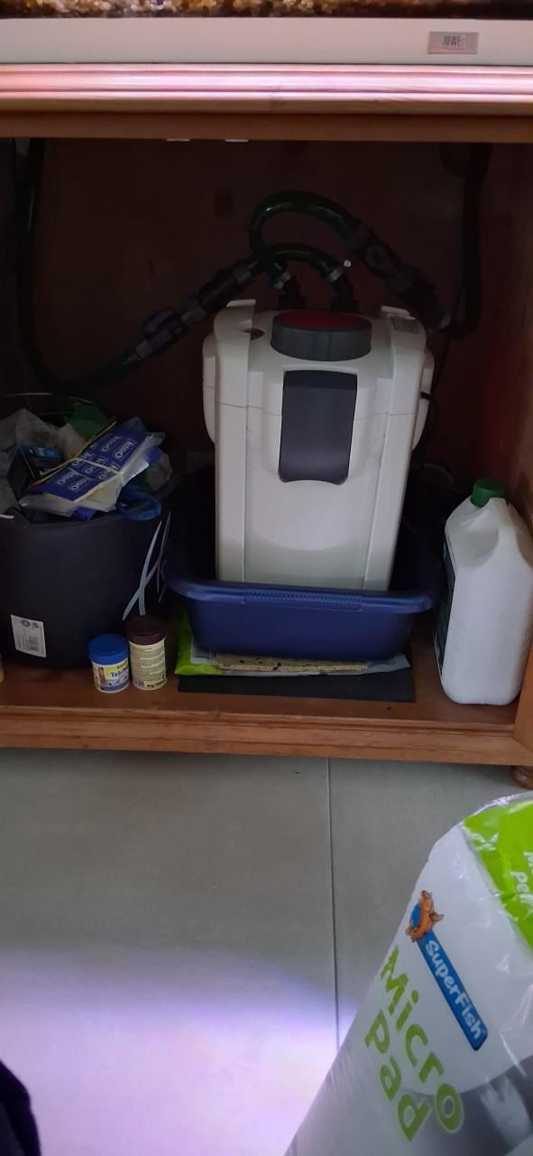 Aquarium te koop. Incl. pomp, licht etc.