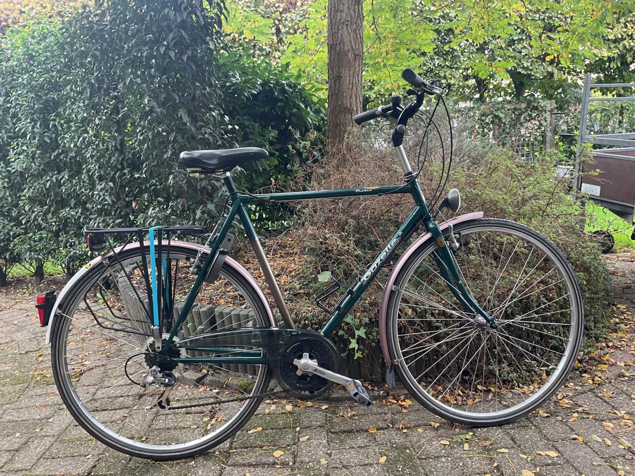 Gazelle Bahia
