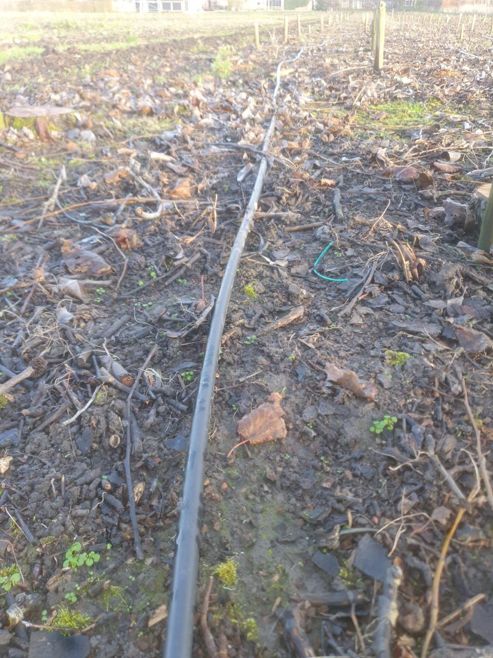 Druppelslangen GRATIS