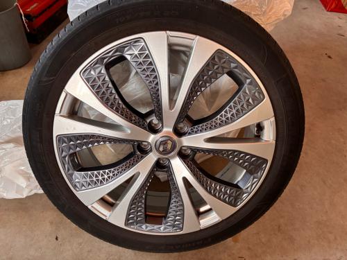 Renault Scenic 195/55R20 95H banden en velgen