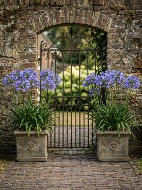 2 decoratieve oude bloempotten
