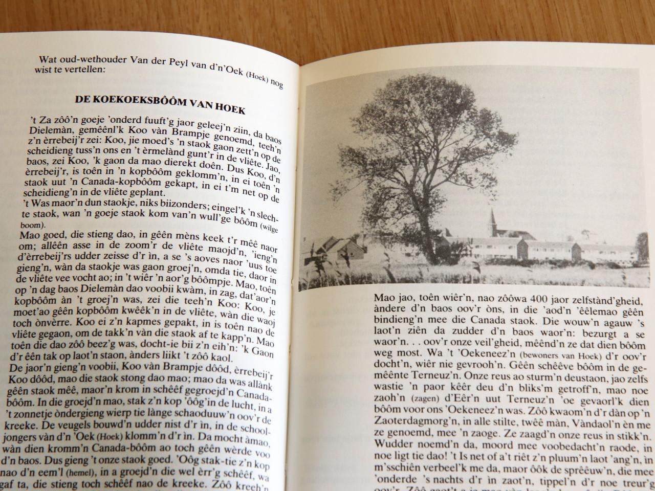 Dialect in het land van Axel