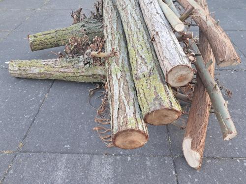 Haardhout - kleine partij wilgenhout