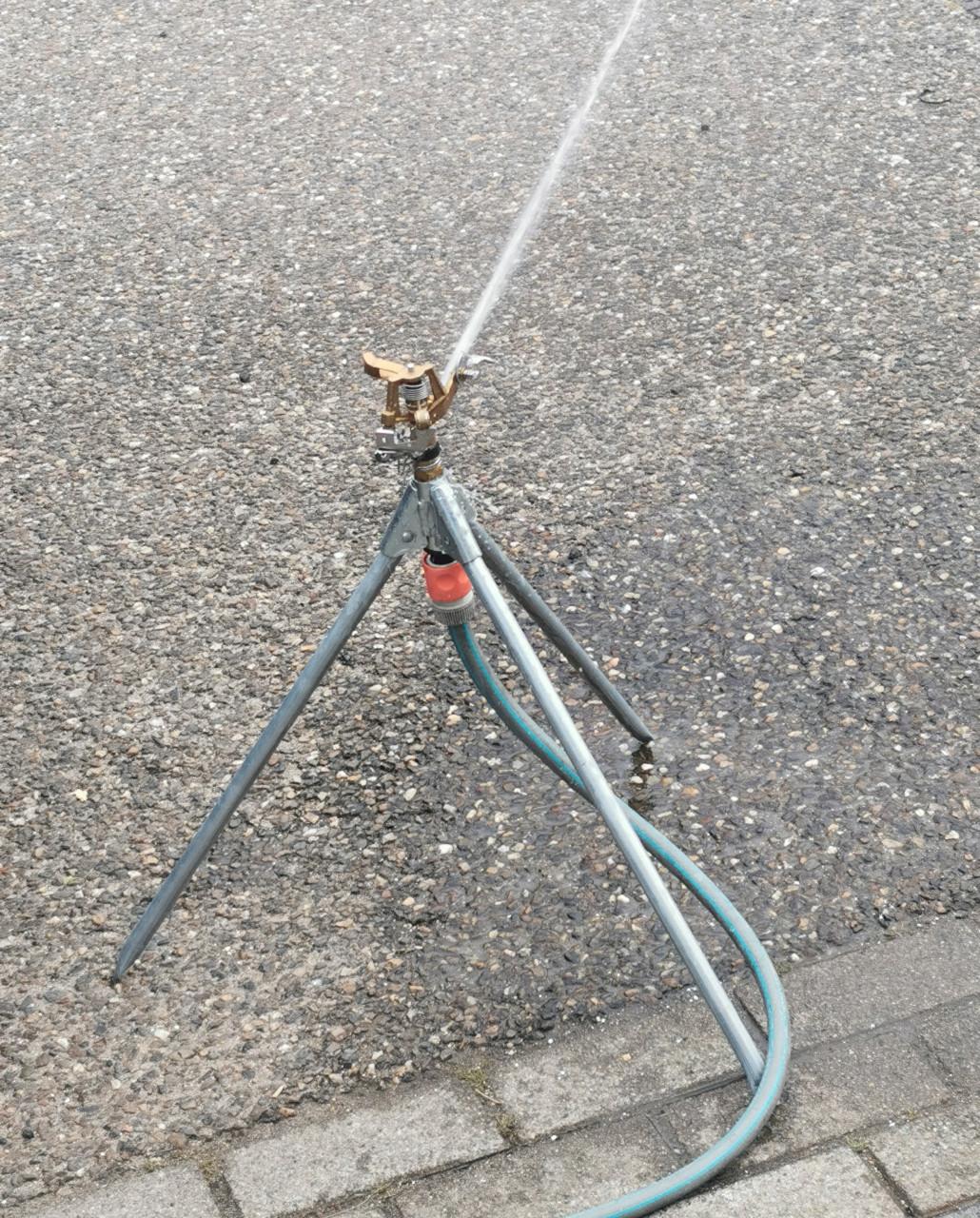TUINSPROEIER OP DRIEPOOT + SLANG