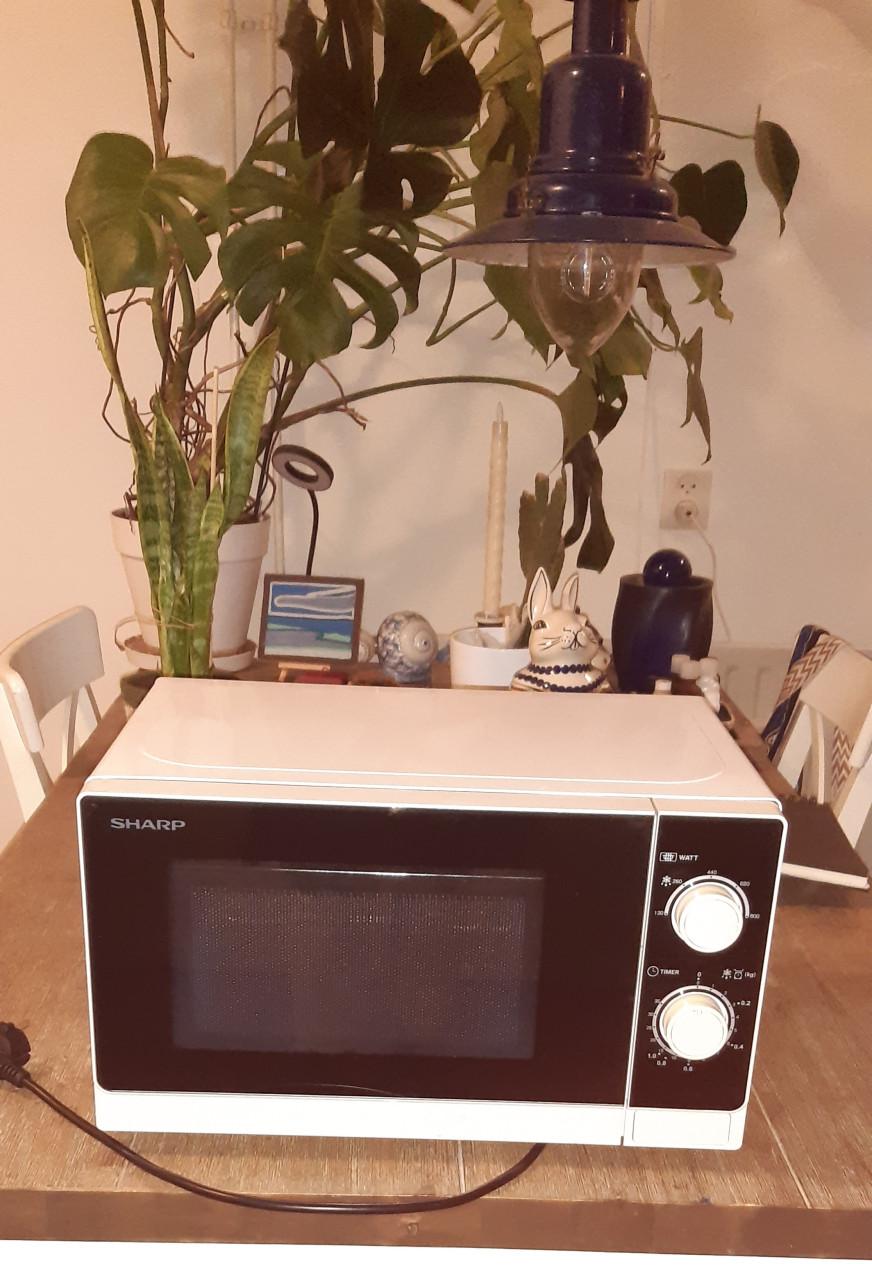 Magnetron SHARP   43×33