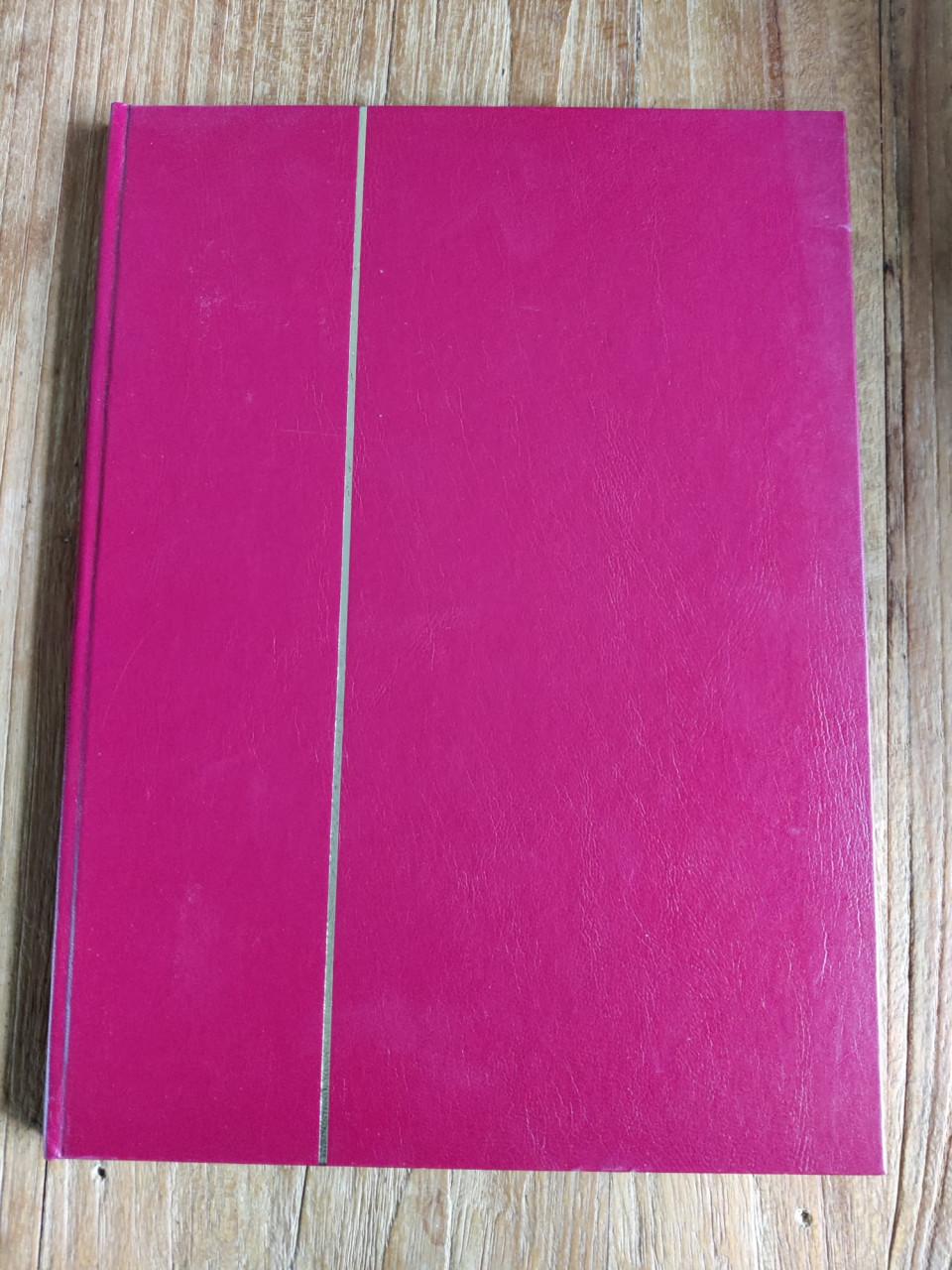 Dun album met blokken kinderzegels Nederland
