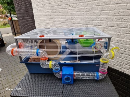Hamsterkooi