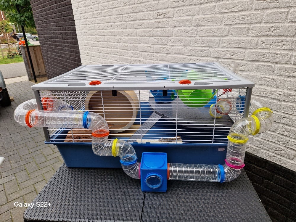 Hamsterkooi