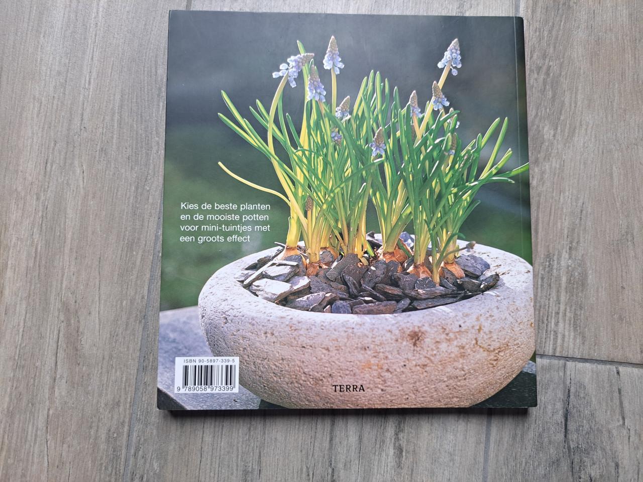 Opgepot en aangekleed/ Tuinieren in potten en bakken