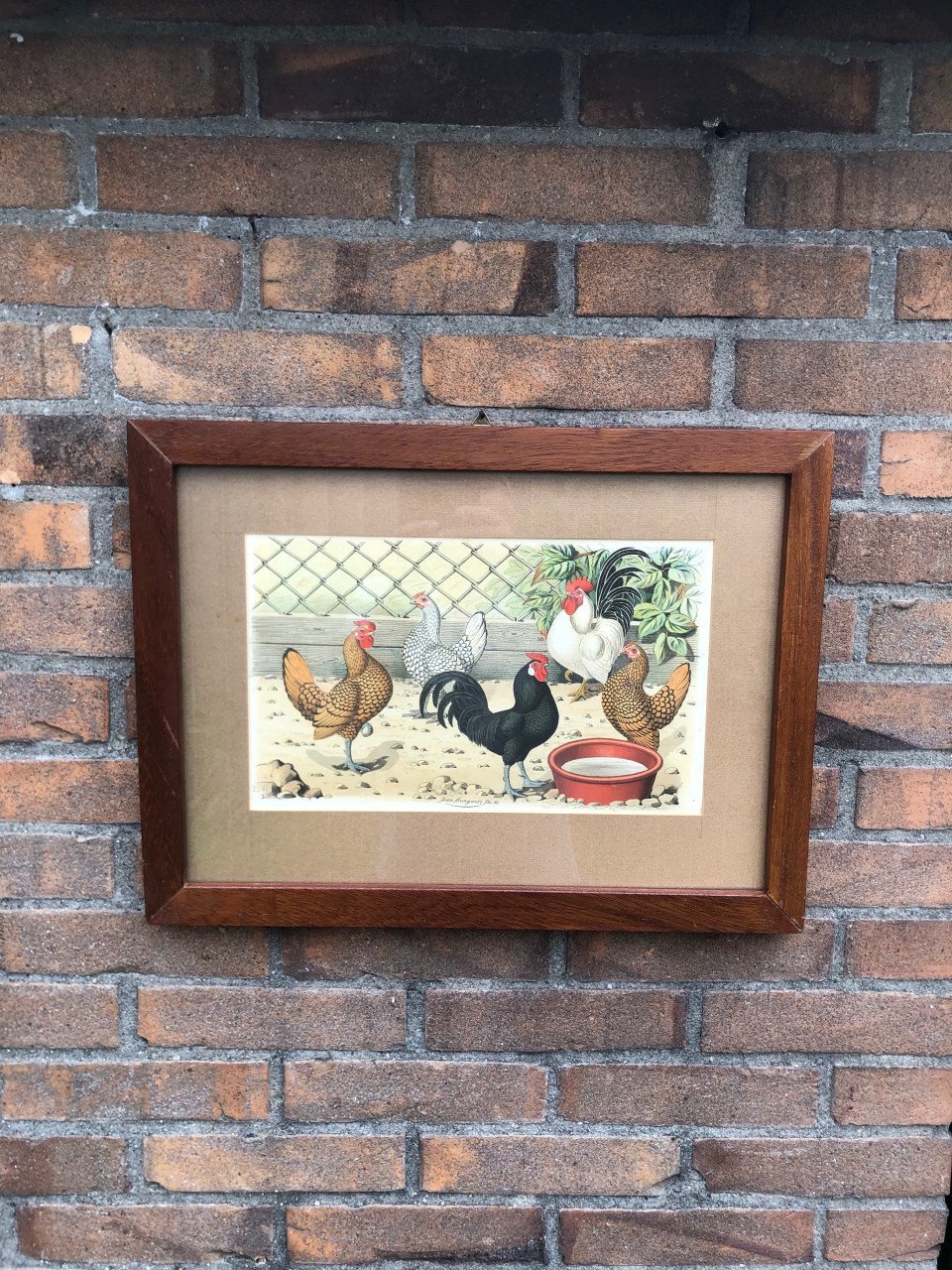 Mooie print in gelijst achter glas.