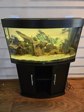 Jewel aquarium