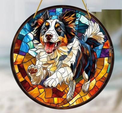 Raamhanger Berner sennen - Border collie