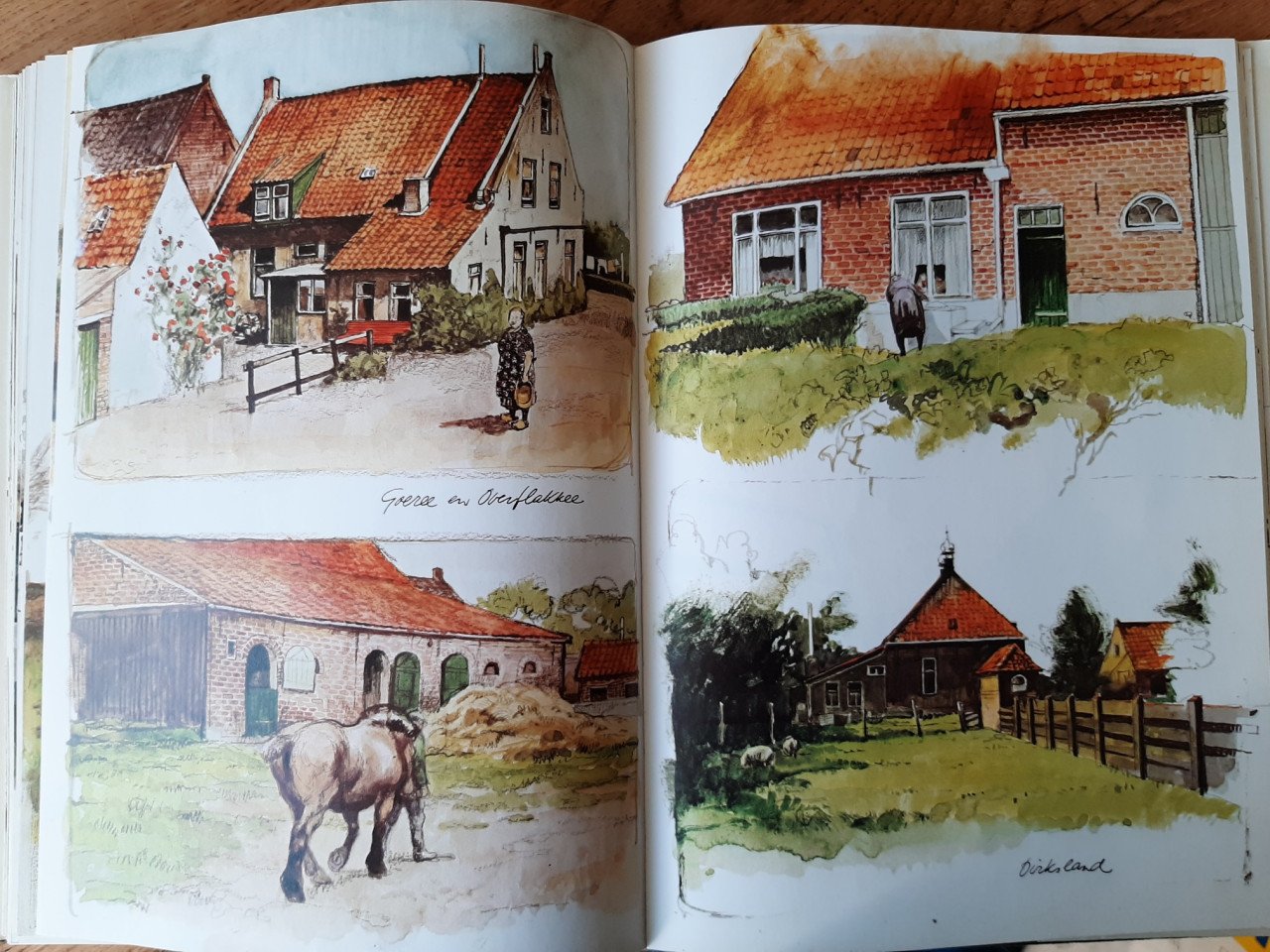 Te hooi en te gras, door Rien Poortvliet