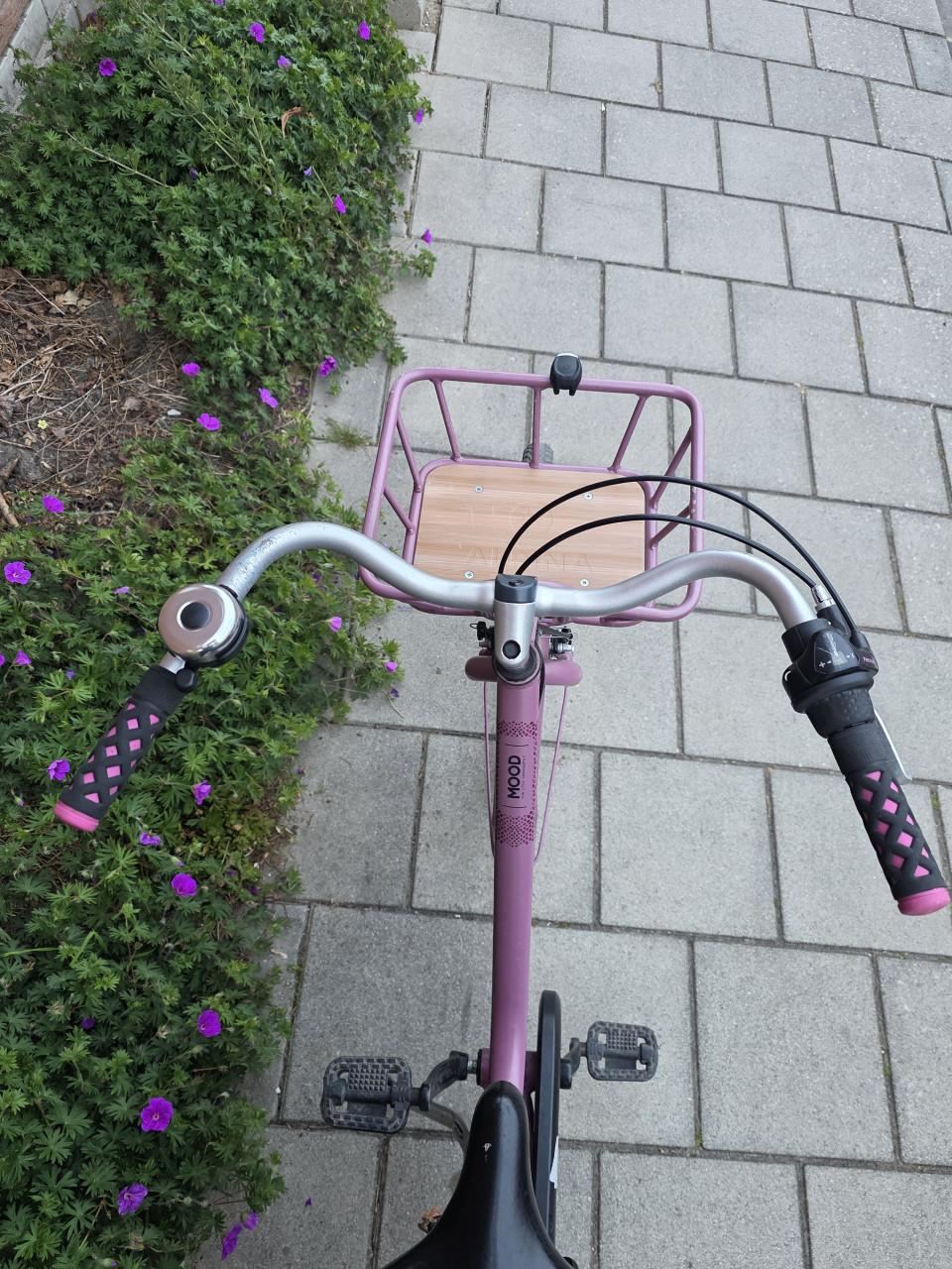 ALPINA | MOOD | 24 INCH | 38 CM | NEXUS 3 | NETTE STAAT!