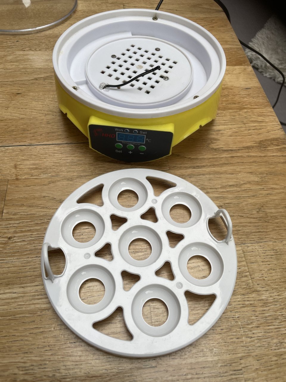 Te Koop Leuke broedmachine voor 7 eieren.