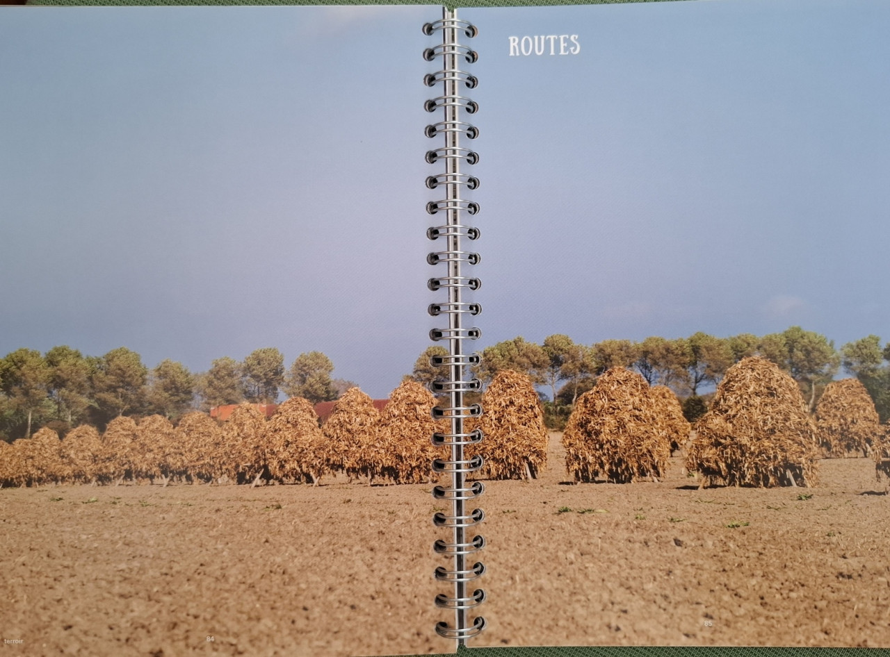 Terroir Walcheren en Noord-Beveland, smakelijke adressen, recepten & tips