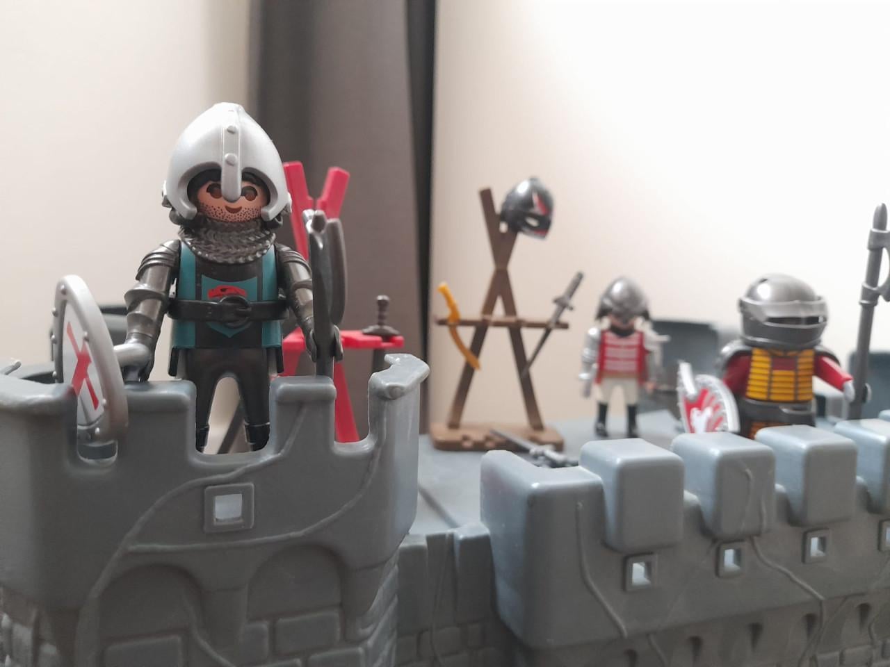 Playmobile verzameling te koop aangeboden