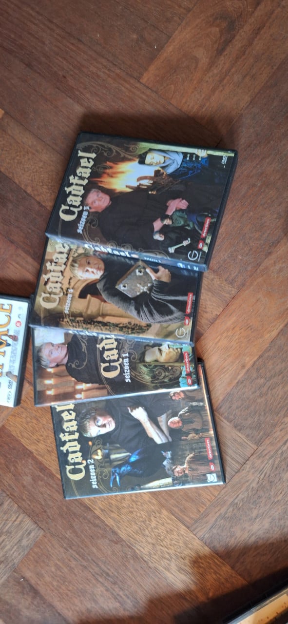Diverse DVD's