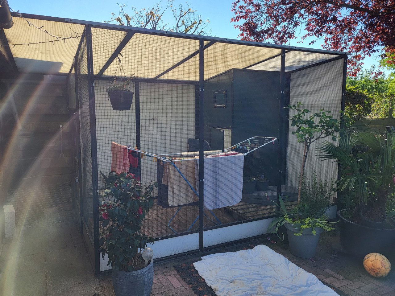 Volière 4 x 2 meter aluminium