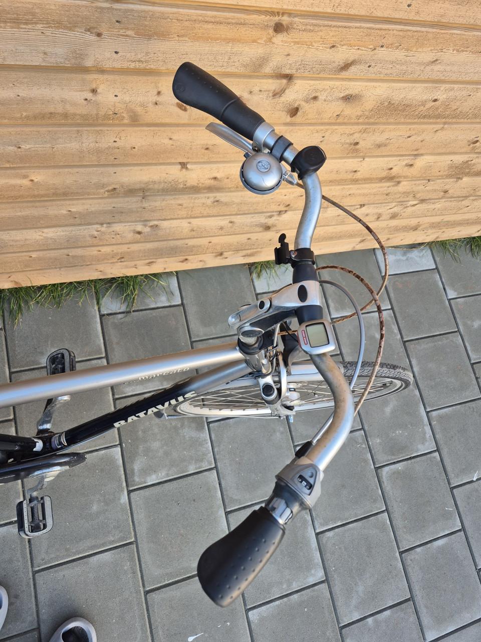 Nette Batavus Herenfiets