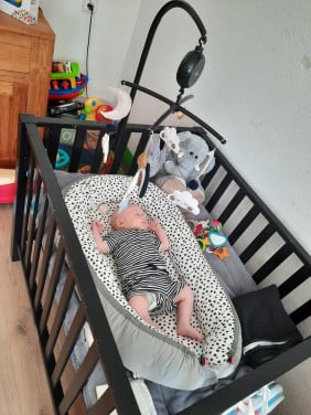 Baby nestje