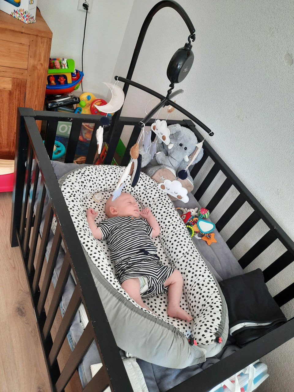 Baby nestje