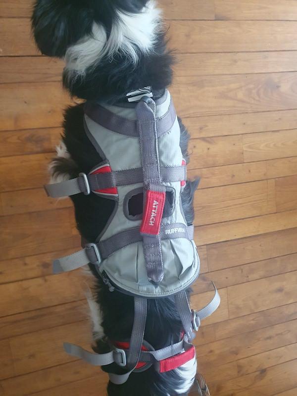 Honden harnas / tuig Ruffwear Attach