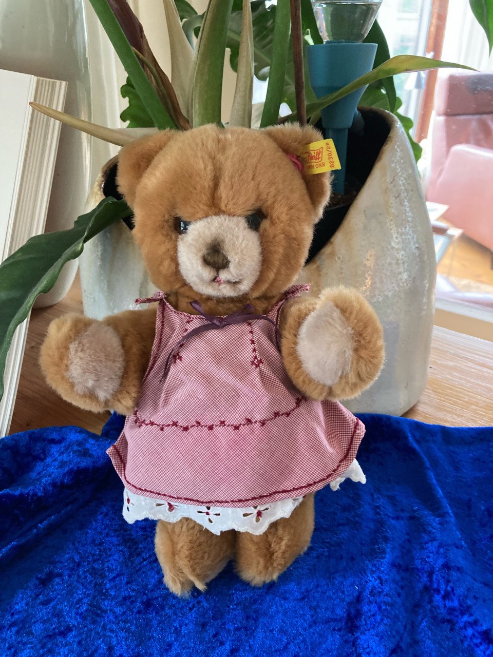 Steiff beertje Petsy VINTAGE