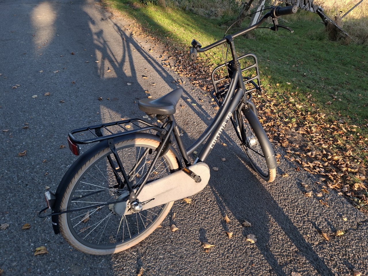 Cortina T4 meisjesfiets