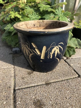 Bloempot
