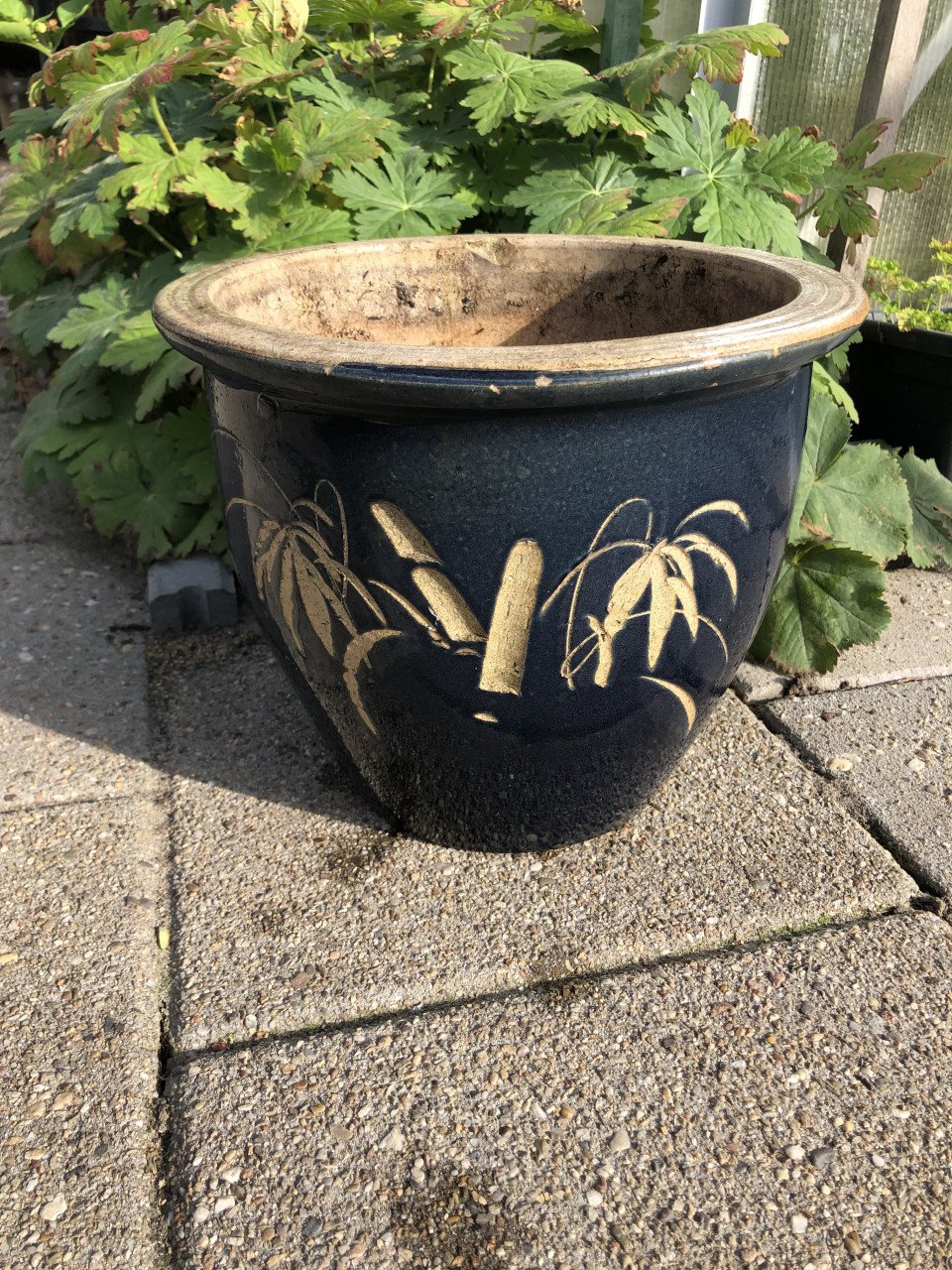 Bloempot