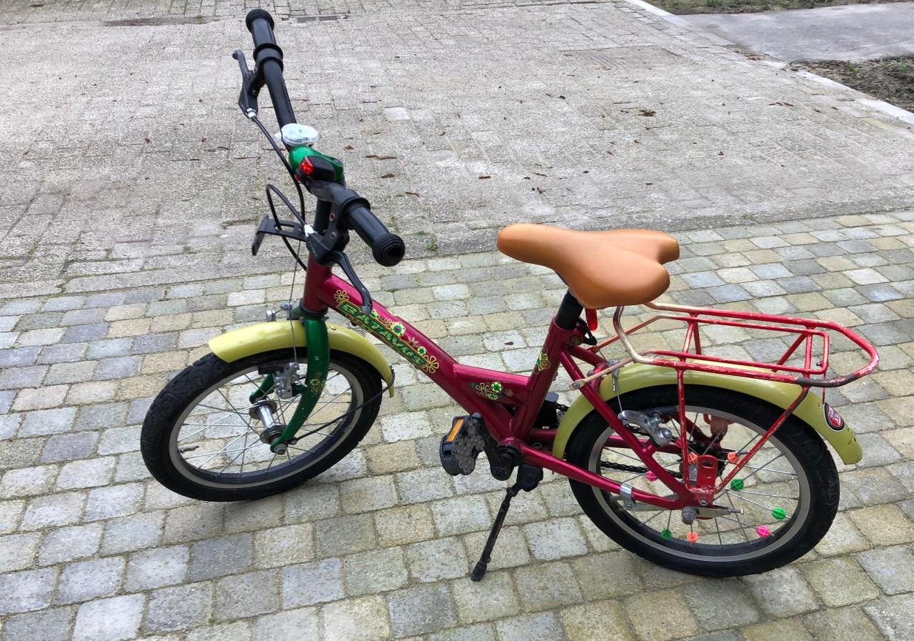Batavus Fietsje voor kinderen