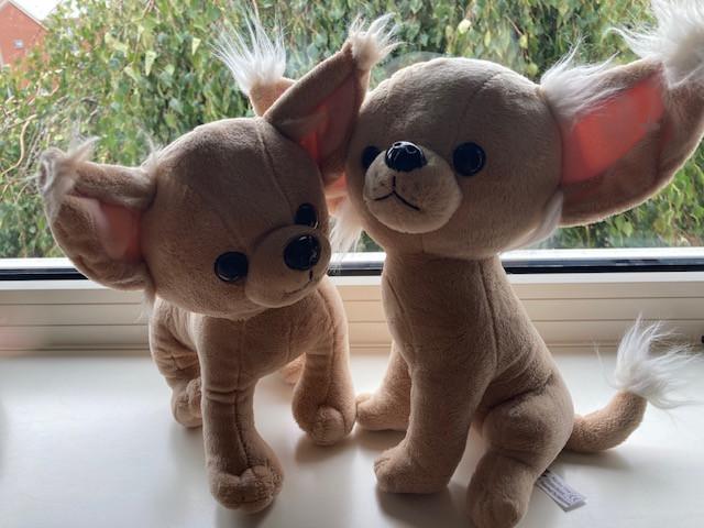 Chihuahua Knuffels, DOMBO, (Jockey)Pony'tjes, Konijn, Smurf, en meer...