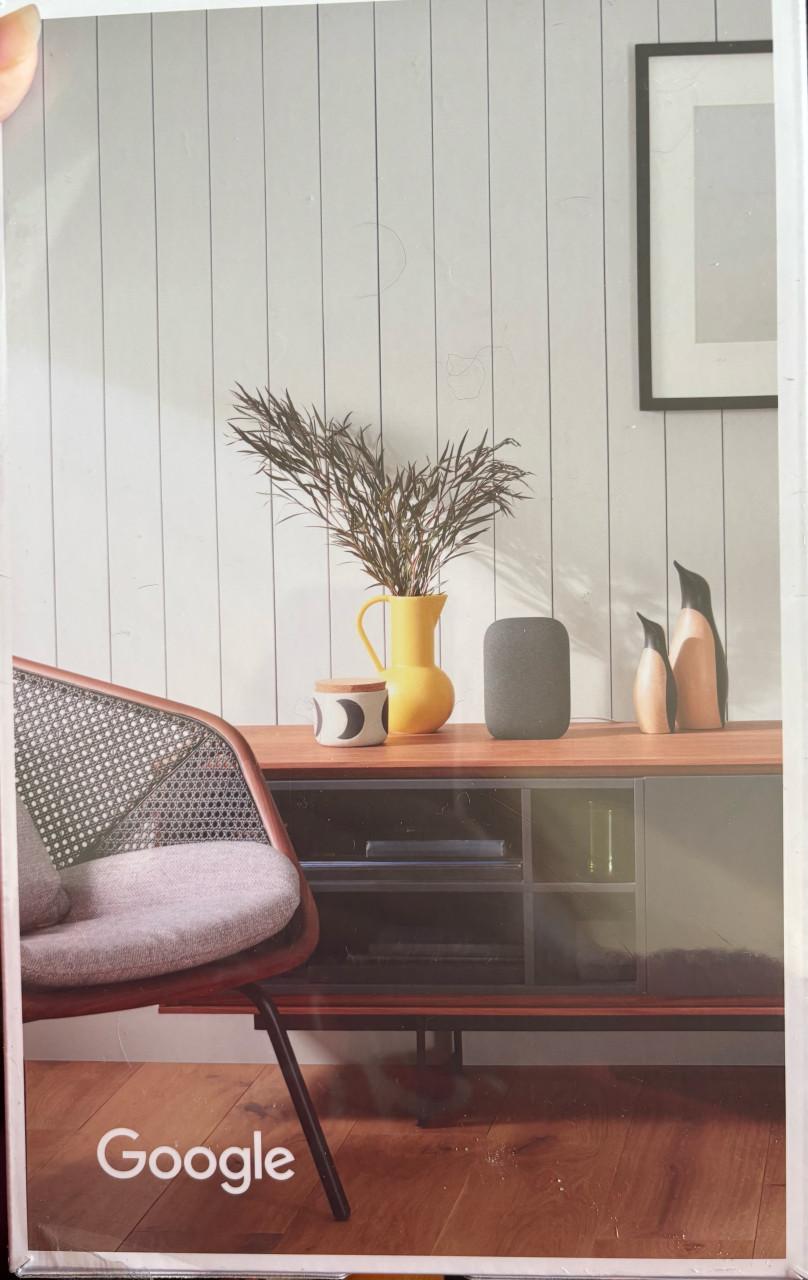 2 maal google Nest