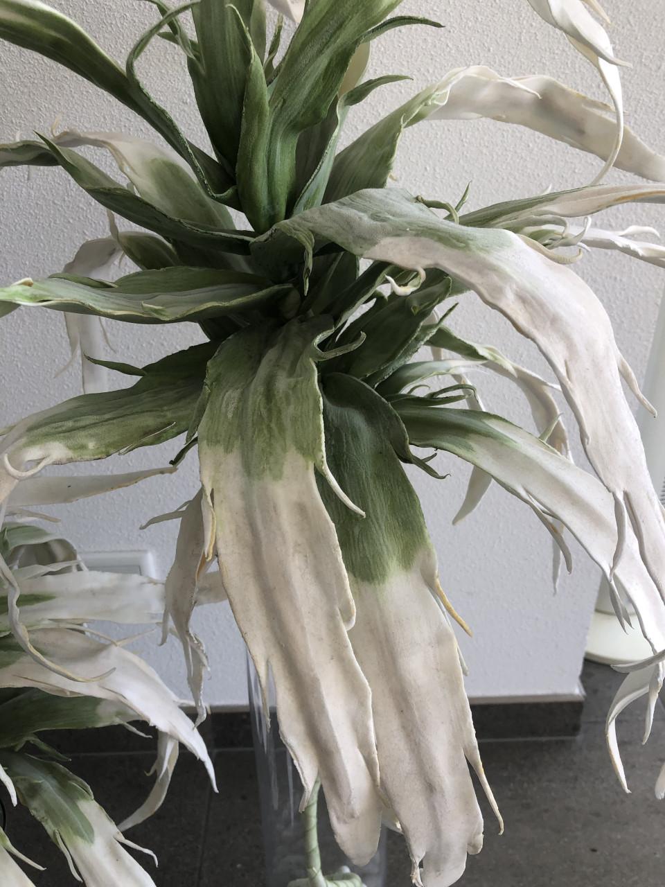 2 glazen bloemvazen