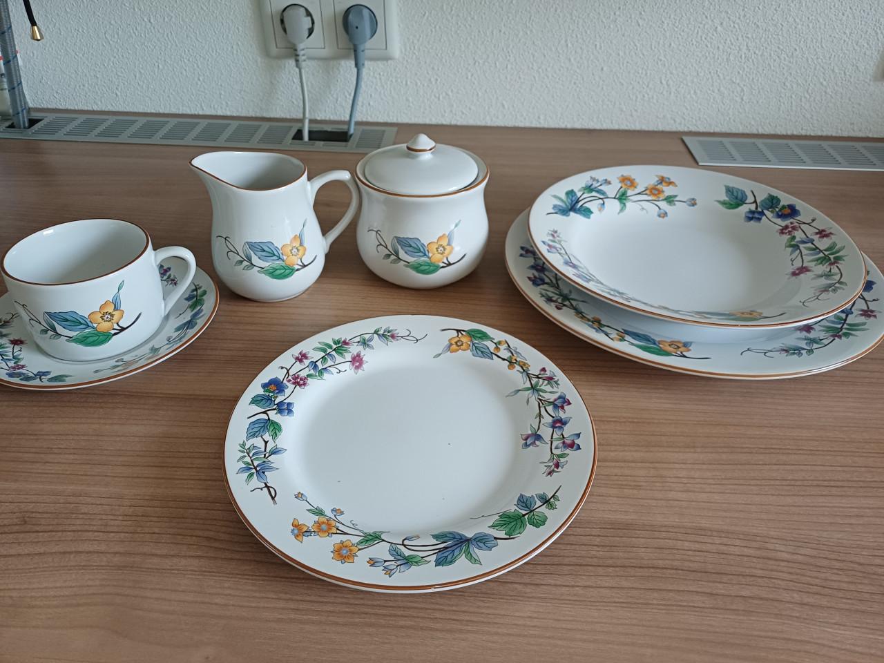 Servies 6 delig