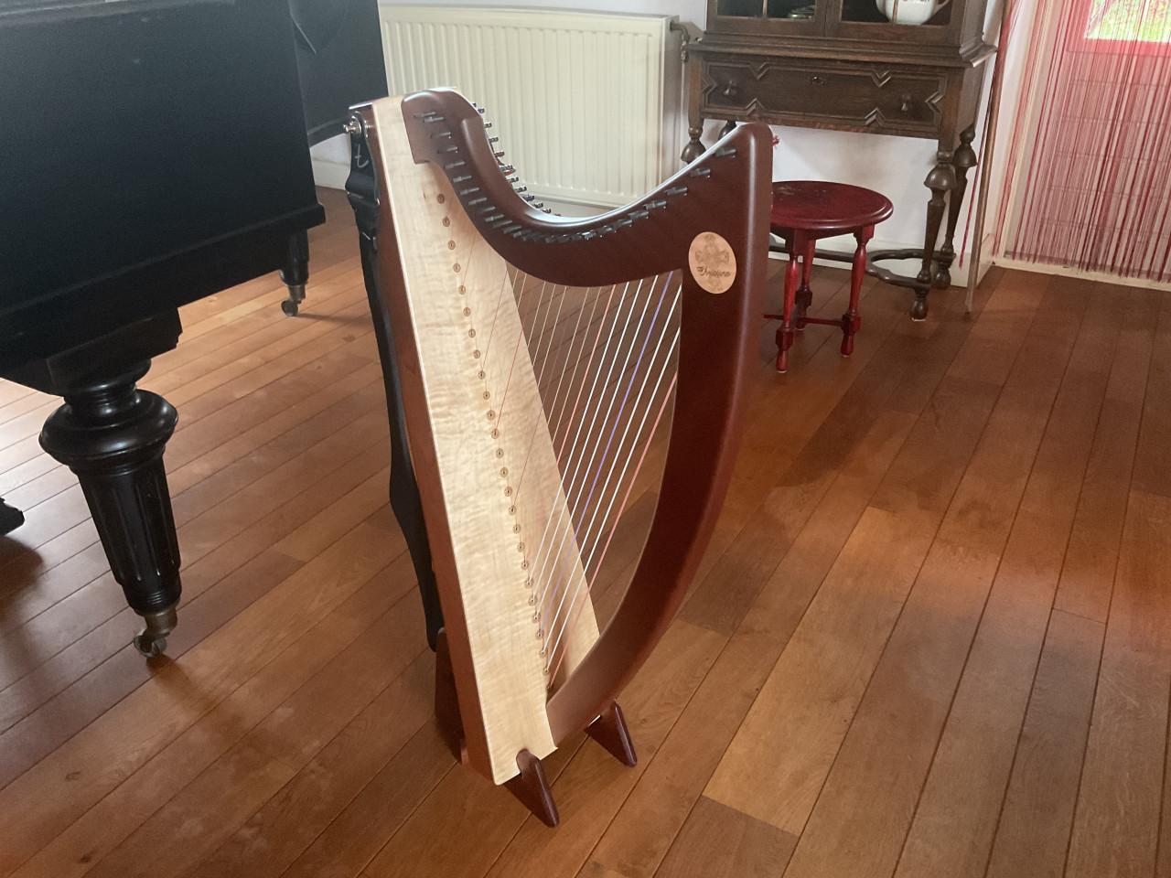 Keltische harp
