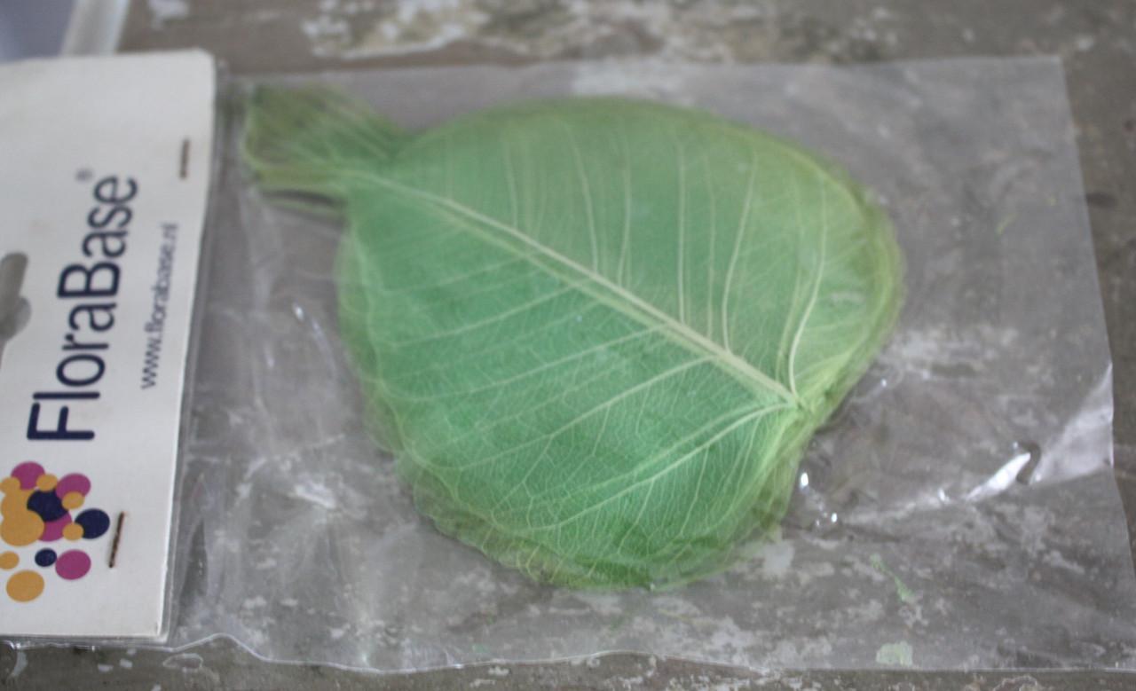 Nieuw in verpakking scalet lvs green blaadjes