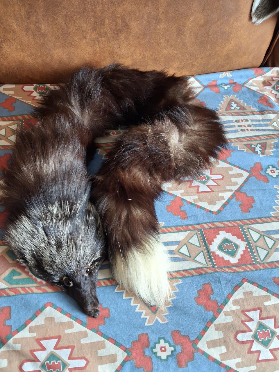 Vos stola en nertsenbont stola