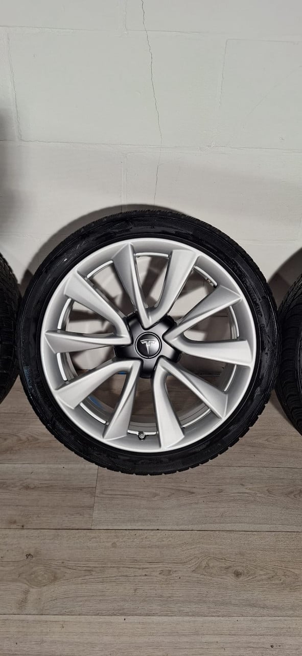19'' Originele Performance Tesla Model 3 velgen + banden