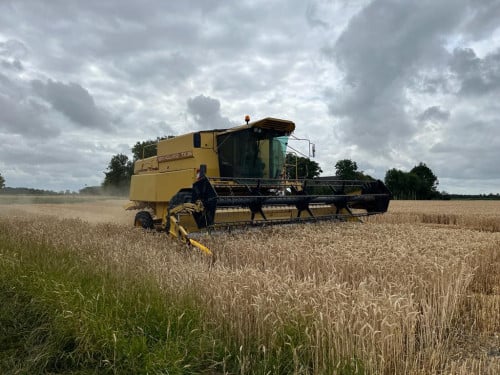 New Holland TX36 maaidorser